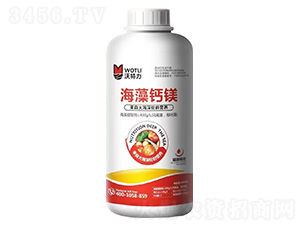 �����}�V-������