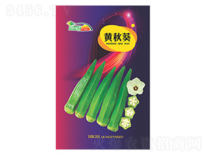 �S���-����