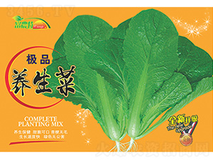 �B(y��ng)���˴��-����