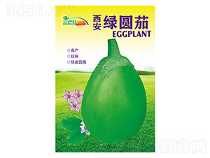 �����G�A��-����