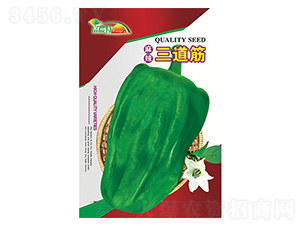 ����������-����