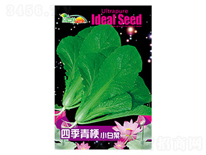 �ļ��๣С�ײ�-����