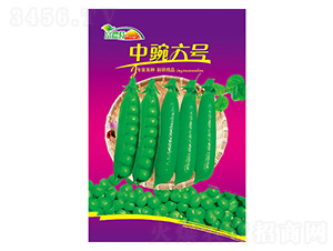 �㶹�N��-������̖-����