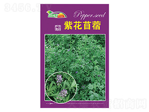 �ϻ���ޣ-����