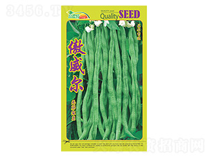 �o��ܶ�-������-����