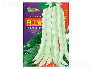 �|���N��-����-����