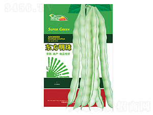 �|���N��-�|������-����