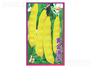 �|���N��-�S��M��-����