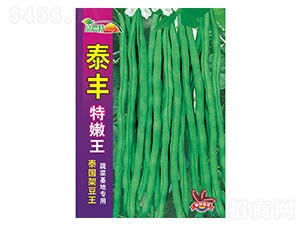 ̩���ܶ���-̩�S������-����