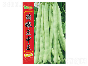 ���ǷN��-����������-����