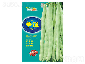 ���ǷN��-���h-����