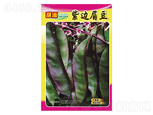 ��߅ü��-����