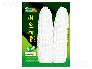 ���׷N��-��ɫ����-����