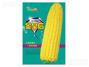 ���׷N��-��ʺ�-����