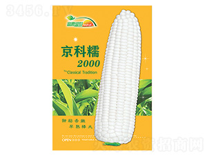 ���׷N��-����Ŵ2000��ɫ��-����