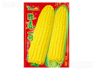 ���׷N��-�ٴ�һ̖(h��o)-����