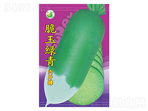 �}���N��-����G��-����