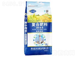 ����������(f��)�Ϸ���28-6-6-���S��-���S��