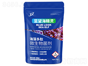 �������΢�������-�{(l��n)�������`-��֮�{(l��n)