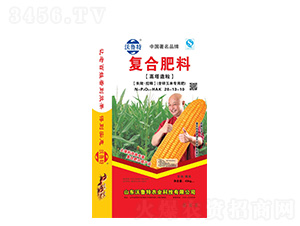 ��(f��)�Ϸ���(���\���׌��÷�)28-13-10-������