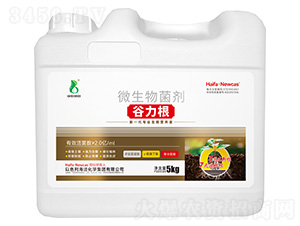 ΢�������-������-���r(n��ng)�W��