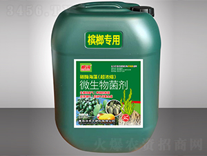 ���ƌ���΢�������-���-������