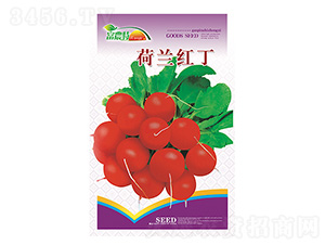 �}���N��-���m�t��-����