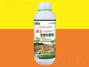 ��(qi��ng)���������焩500g-���-������