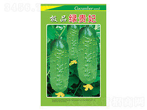 �S�ϷN��-�G�F��-����