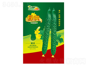 �S�ϷN��-�Gˬ-����