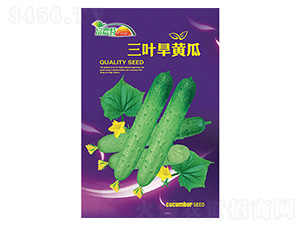 �S�ϷN��-���~���S��-����