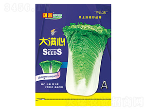 �ײ˷N��-��M��A-����