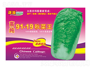 �߼�91-19�����-����