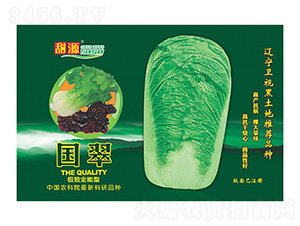 �ײ˷N��-����-����