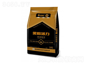 �S���������ЙC(j��)��-��ۻ���-��ʩ��