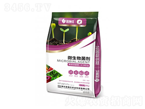 ΢�������-��ʩ��