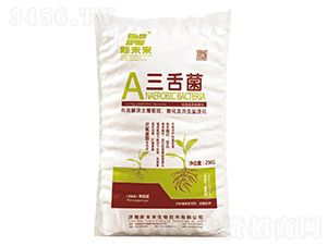 �����-������������-��δ��(l��i)