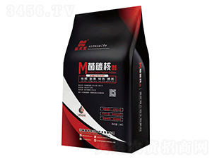 ��̼�˄�(�_ʩ��)-��δ��(l��i)