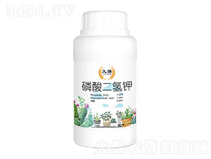 ��������-�ŏ�-����ʘI(y��)