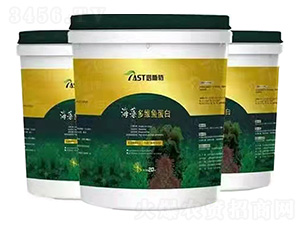 �����S�~����-��˹��-����ʘI(y��)