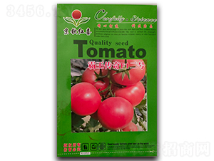 ��������F1��̖(h��o)-���t���N��-���J�tϲ