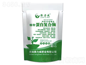 ֲ�ﵰ�׏�(f��)��ø-¡����