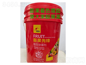 ������h΢�������-�f�@��-ϲ����