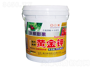 ���}������S���-�ָ����-�n��-�n��ʘI(y��)