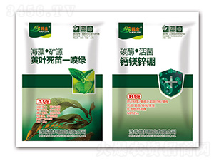 �S�~����һ���G+�}�V�\��-�n��-�n��ʘI(y��)