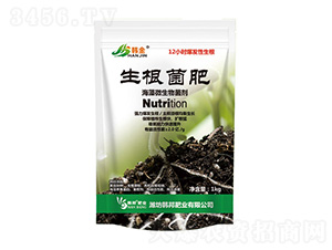 ��������΢�������-�n��-�n��ʘI(y��)