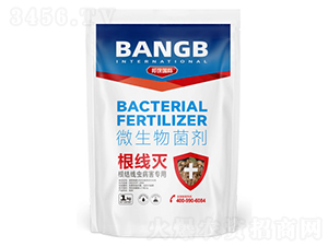 ������΢�������-��ʘI(y��)