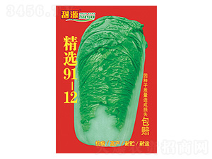 �ײ˷N��-���x91-12-����