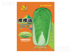 �ײ˷N��-���ÿÝM-����