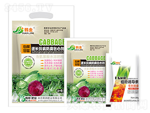 �ײ˸��{(l��n)���L�����������Ą�-�n��-�n��ʘI(y��)